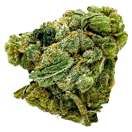 Close-up of crab cakes